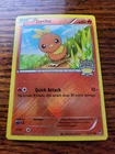 Torchic