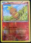 Torchic