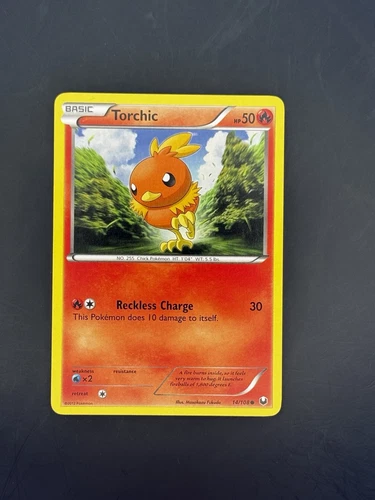 Torchic