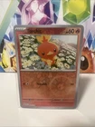Torchic