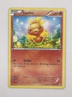 Torchic
