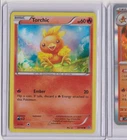 Torchic