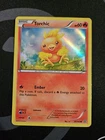 Torchic