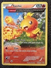 Torchic