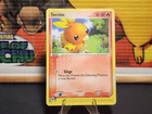 Torchic