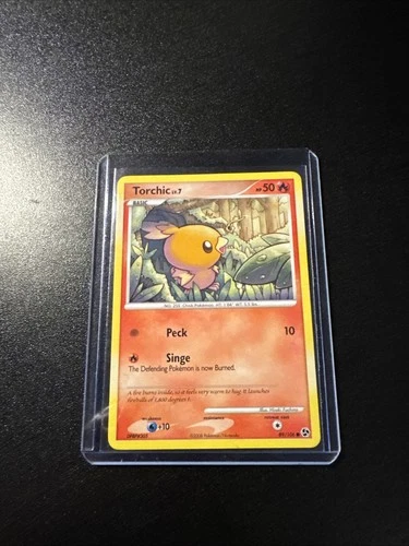 Torchic