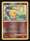 Torchic