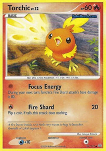 Torchic