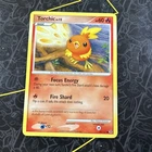 Torchic