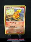 Torchic