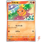 Torchic