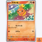 Torchic