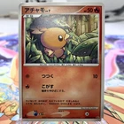 Torchic