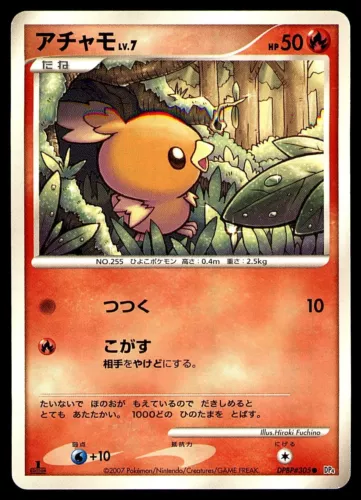 Torchic