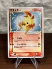 Torchic