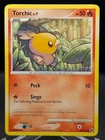 Torchic