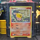 Torchic