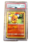 Torchic