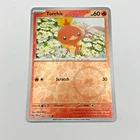 Torchic