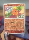 Torchic