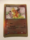 Torchic