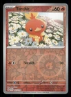 Torchic
