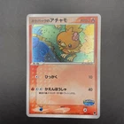 Torchic
