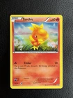 Torchic