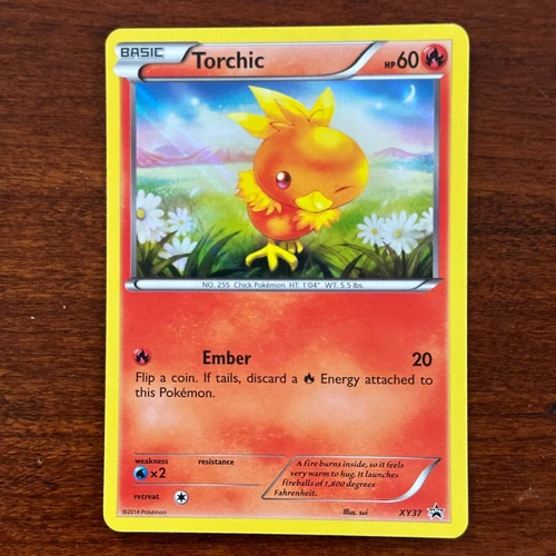 Torchic