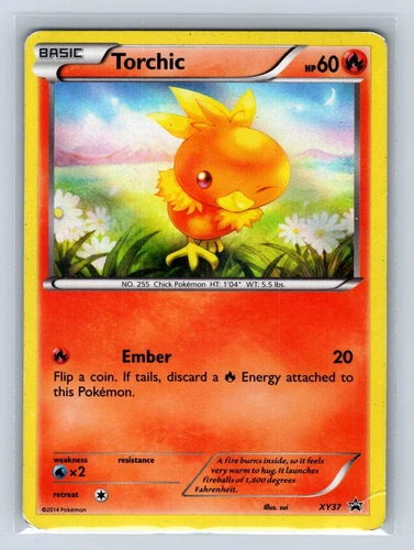 Torchic