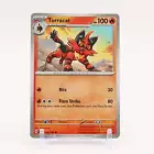 Torracat