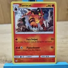 Torracat