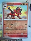 Torracat