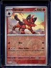 Torracat