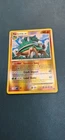 Torterra
