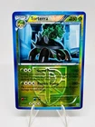 Torterra