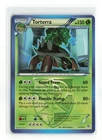 Torterra