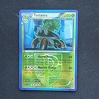 Torterra
