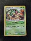 Torterra