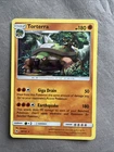 Torterra