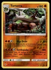 Torterra