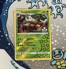 Torterra
