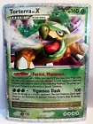 Torterra LV. X