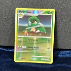 Torterra