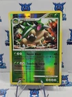 Torterra