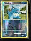 Totodile