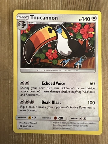Toucannon