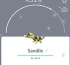 Sandaconda