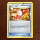 Trainer's Mail
