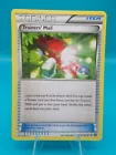 Trainer's Mail